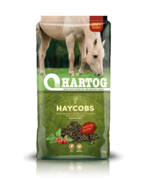 hartog haycobs